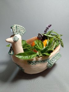 Птаха з крилами-горщик - зображення 7